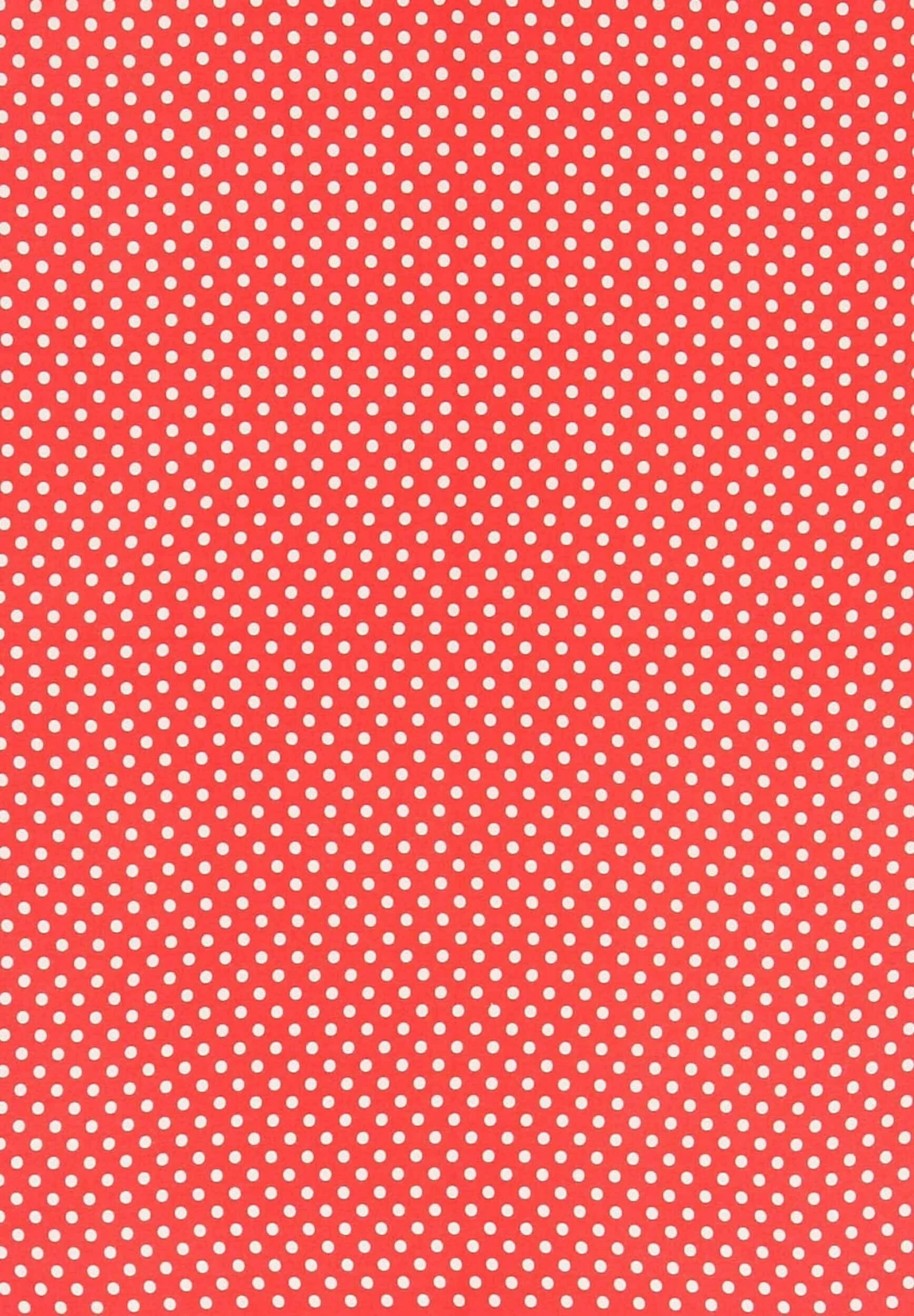 FRAAS Polka Dot - Halsdoek - True Red 8 FRAAS Polka Dot - Halsdoek - True Red - Afbeelding 6