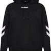 Hummel Llegacy Plus - Hoodie - Black 2 Hummel Llegacy Plus - Hoodie - Black -Winkel Voor Damesmode 74d66551542949ecb782defdcaf5ba41